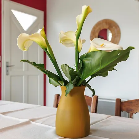 L'escapade De Sauvagnac Holiday home